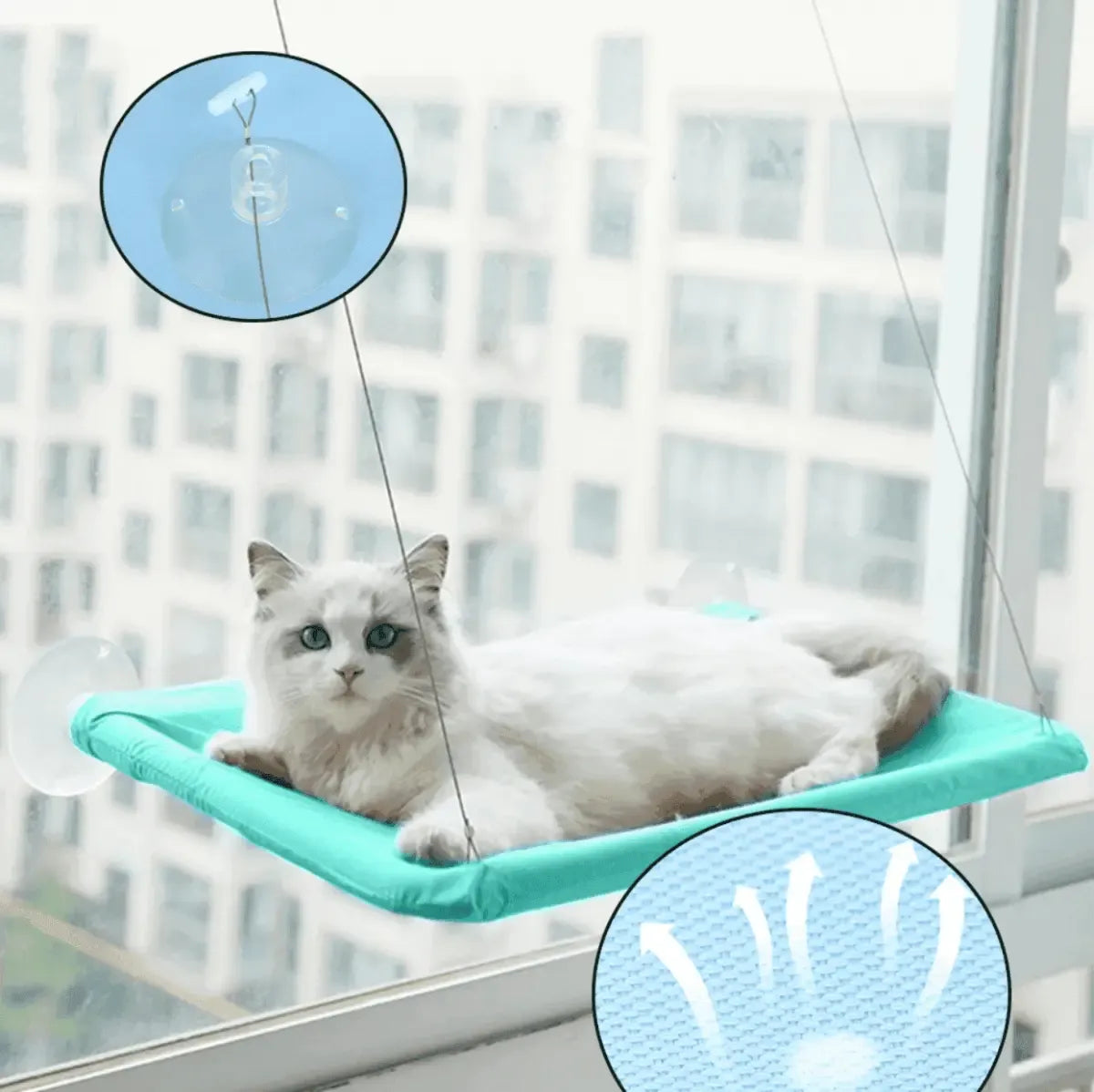 hamac-fenetre-pour-chat – La Maison de la Housse