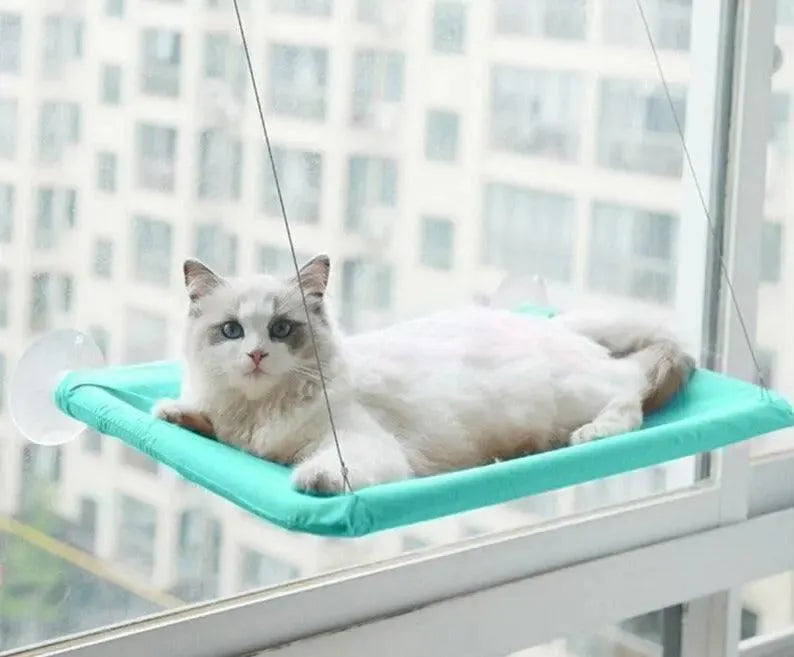 hamac-fenetre-pour-chat – La Maison de la Housse