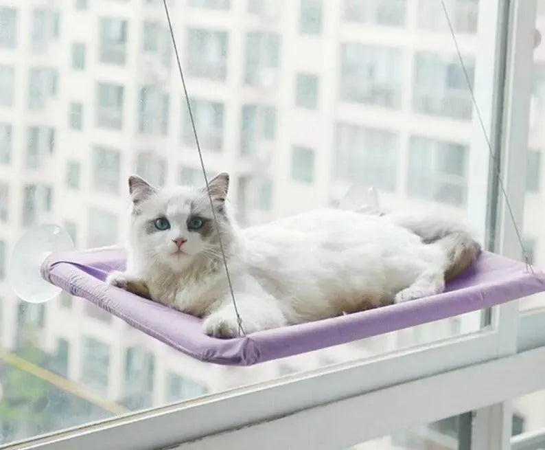 hamac-fenetre-pour-chat – La Maison de la Housse