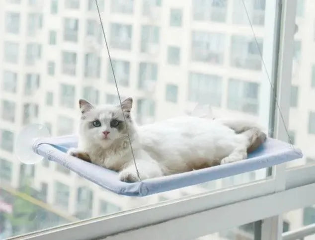 hamac-fenetre-pour-chat – La Maison de la Housse