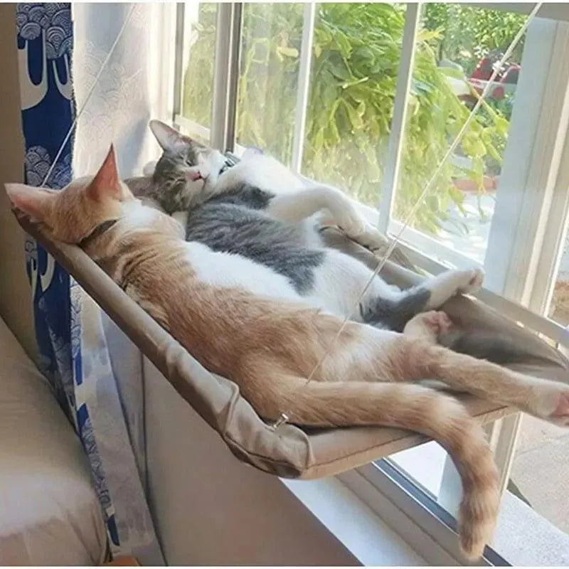 hamac-fenetre-pour-chat – La Maison de la Housse