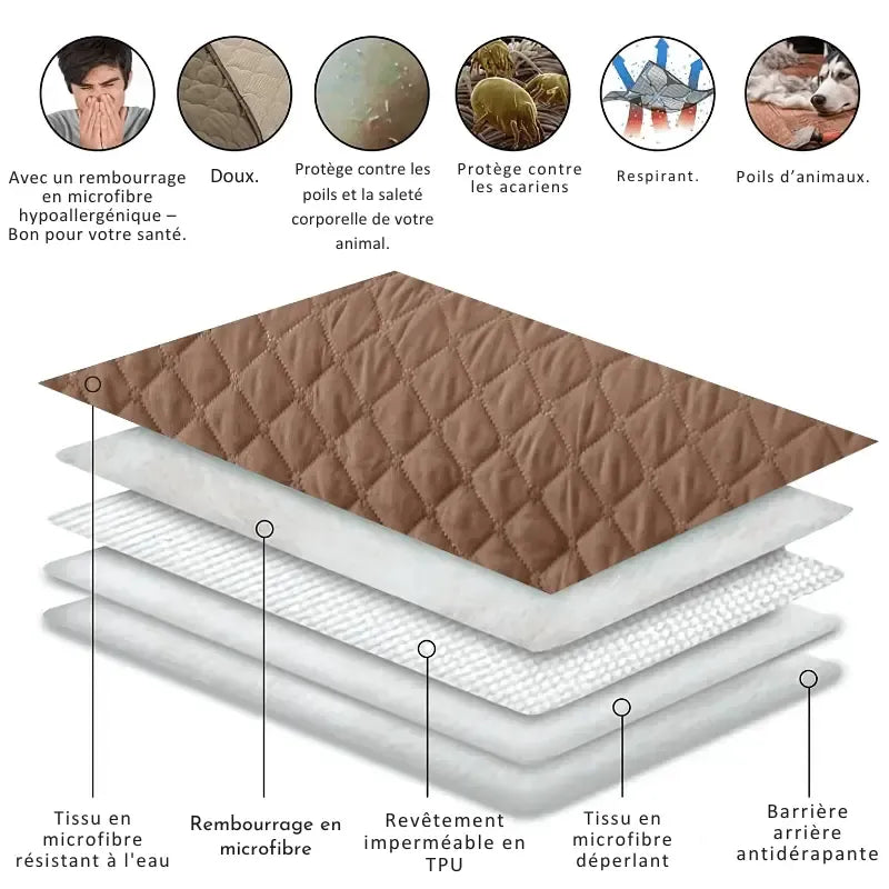 protege-canape-impermeable-et-absorbante-pour-chien-et-chat – La Maison de la Housse
