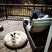 Coussin Pour Chien Panier Lit Apaisant - La Maison de la Housse®