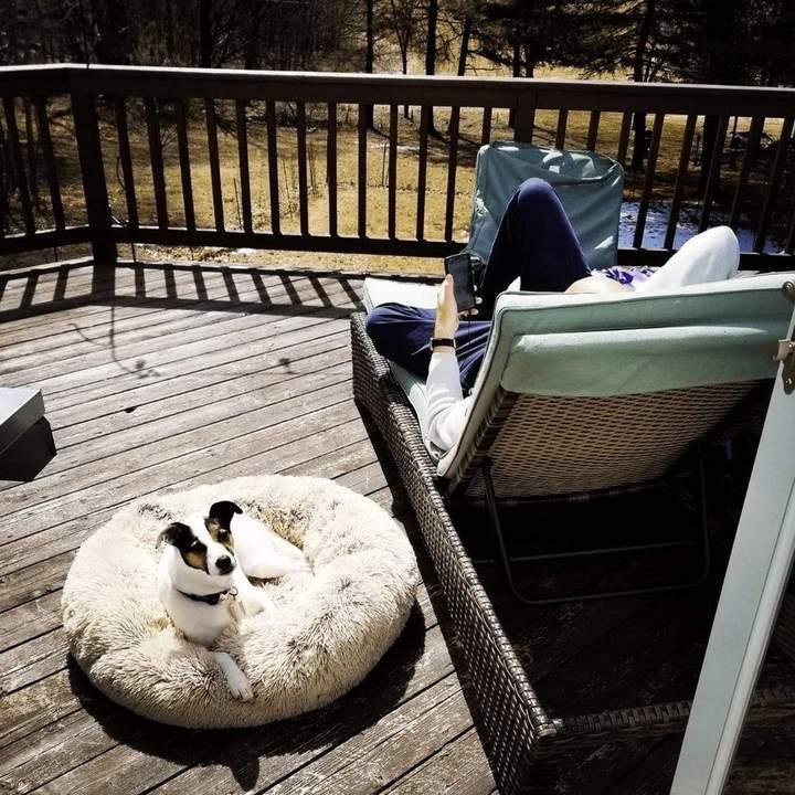 Coussin Pour Chien Panier Lit Apaisant - La Maison de la Housse®