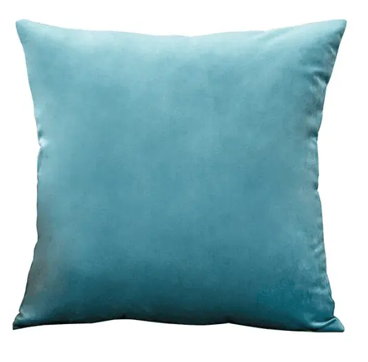 2 Housses De Coussin En Velours Bleu ciel Extensibles 45X45cm pour product_type – La Maison De La Housse