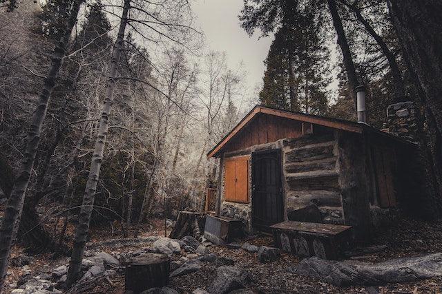 5 façons de bannir les bestioles de la maison en hiver - La Maison de la Housse®