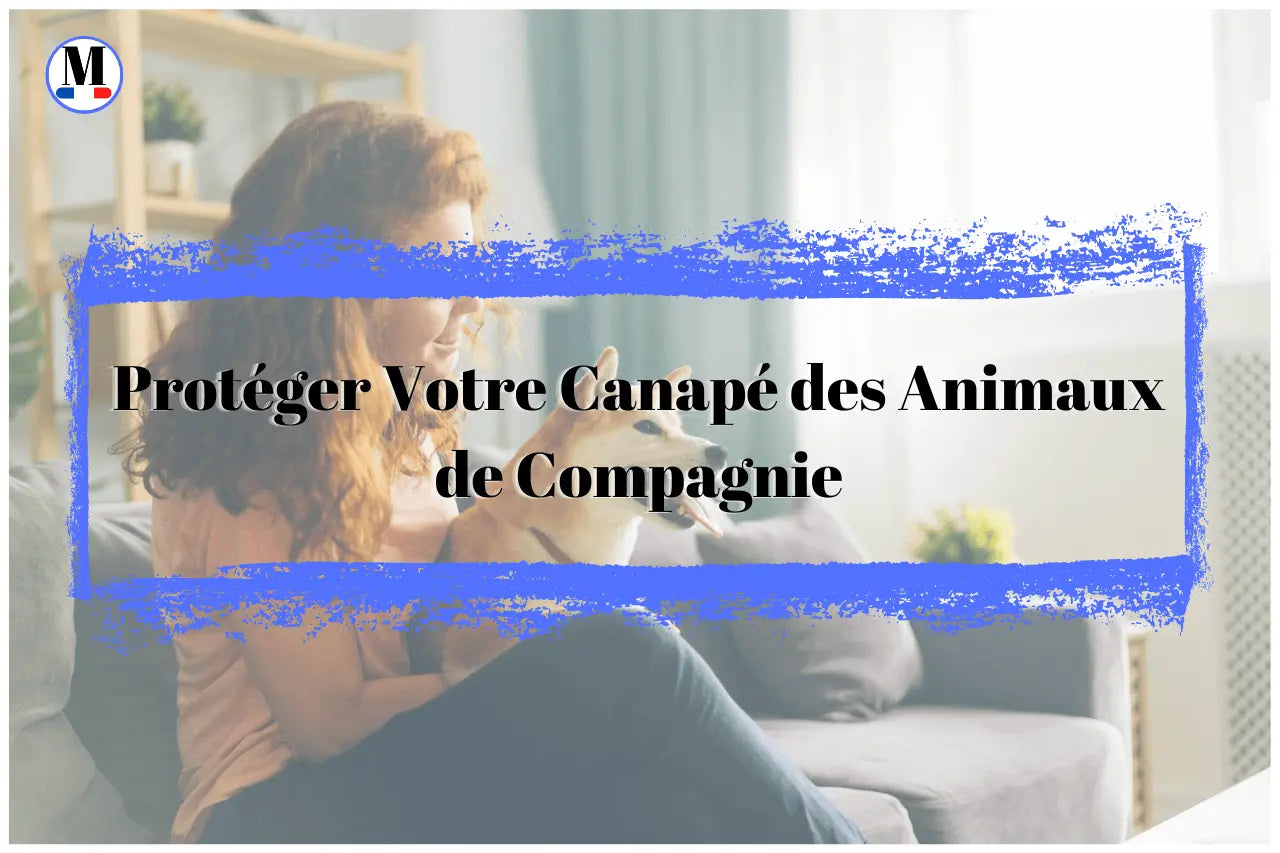 Protéger Votre Canapé des Animaux de Compagnie : Les Housses comme Solution - La Maison de la Housse®