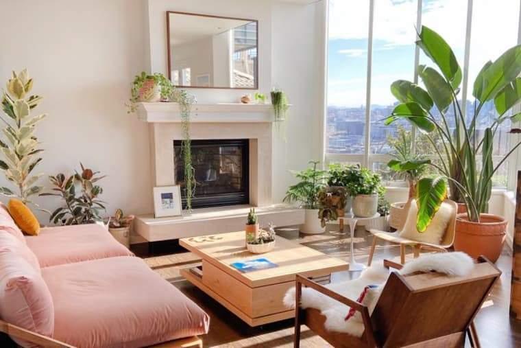 Une maison ensoleillée de Seattle a un canapé rose enviable et plus de 60 bébés plantes - La Maison de la Housse®