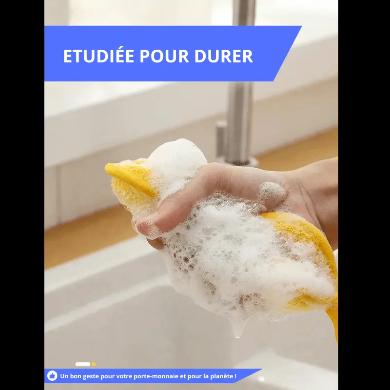 5 Eponges Lavable et Réutilisable - La Maison de la Housse®