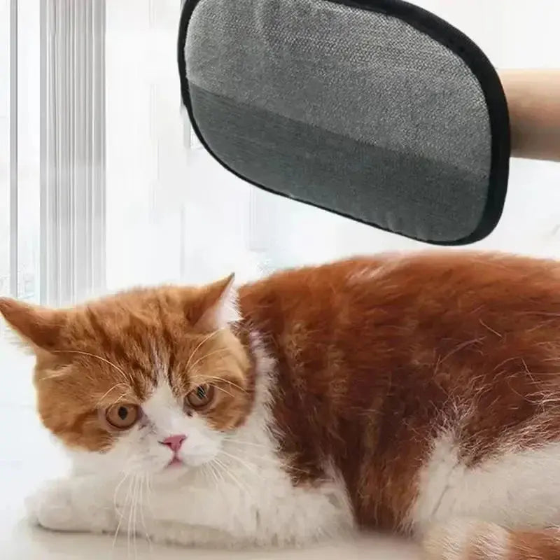 PurePaw™ - Le Gant Magique Attrapes Poils Réutilisable La Maison de la Housse