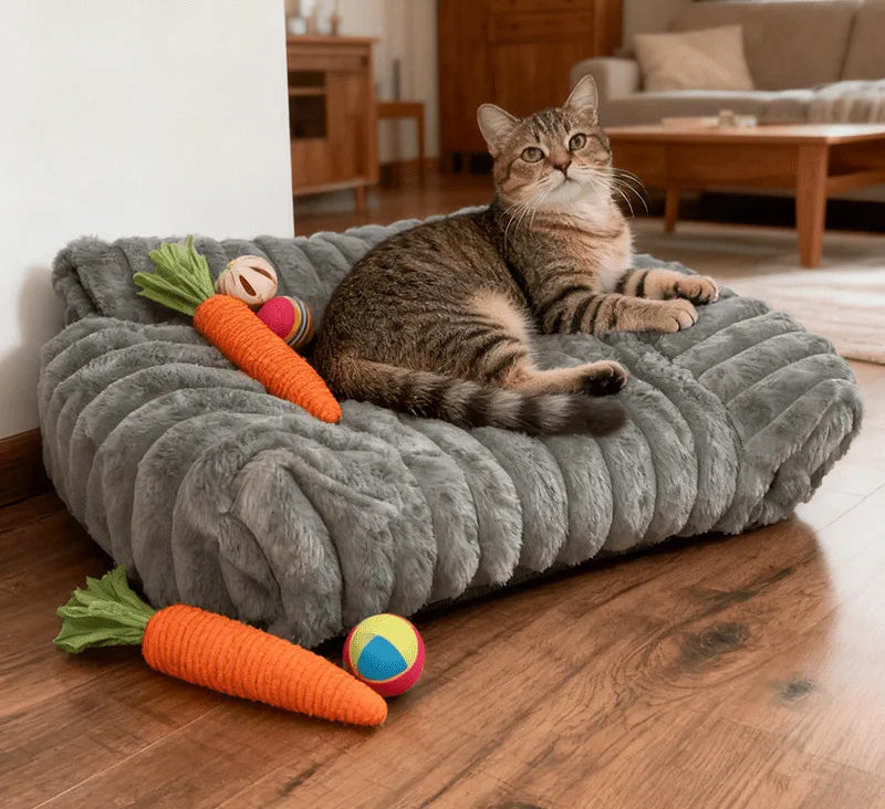 FELIXCLOUD™ - Mini Canapé Confort Coussin Doux pour Chat