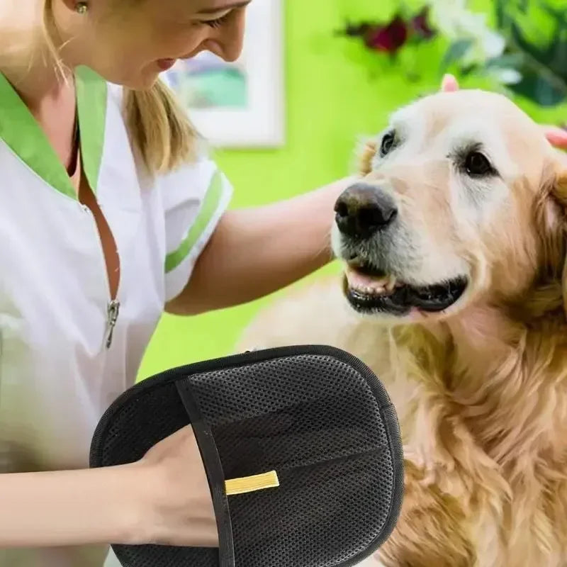 PurePaw™ - Le Gant Magique Attrapes Poils Réutilisable