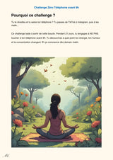 challenge-zero-telephone – La Maison de la Housse