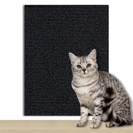 ZenScratch™ – Tapis Anti-Griffes Autocollant pour film protection canapé chat – La Maison de la Housse