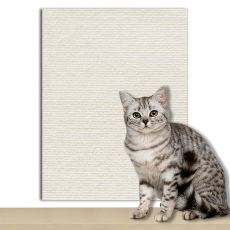ZenScratch™ – Tapis Anti-Griffes Autocollant pour film protection canapé chat – La Maison de la Housse