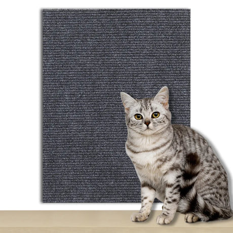 ZenScratch™ – Tapis Anti-Griffes Autocollant pour film protection canapé chat – La Maison de la Housse
