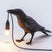 Lampe Design Corbeau - La Maison de la Housse®