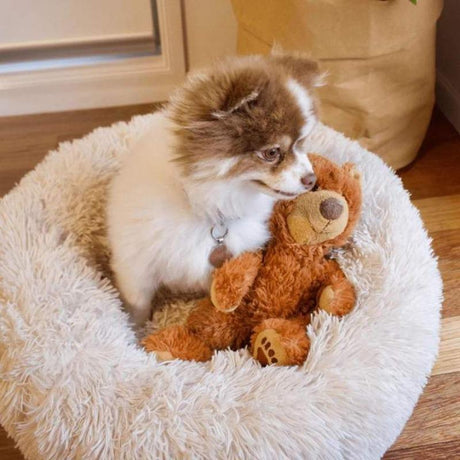 Coussin Pour Chien et Chat Panier Lit Apaisant - La Maison de la Housse®